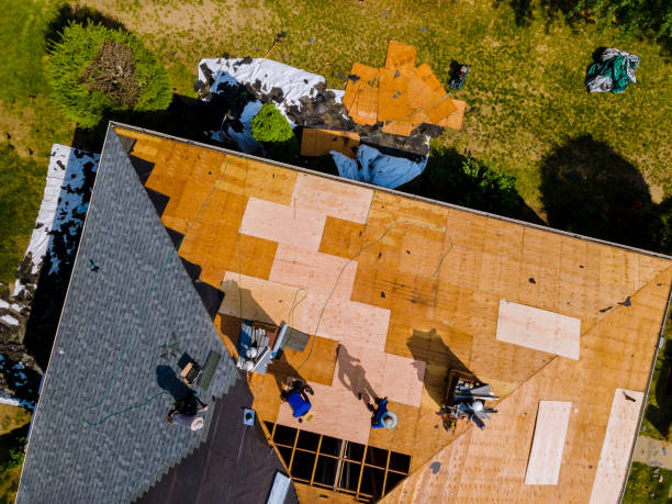 Best Roof Waterproofing Services  in Las Animas, CO