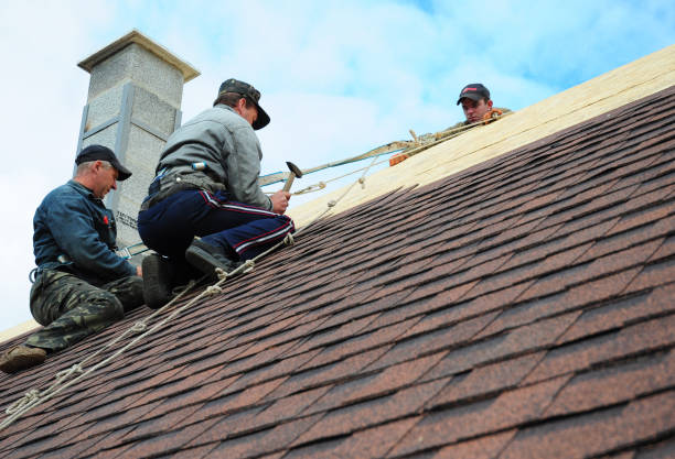 Best Shingle Roofing Installation  in Las Animas, CO